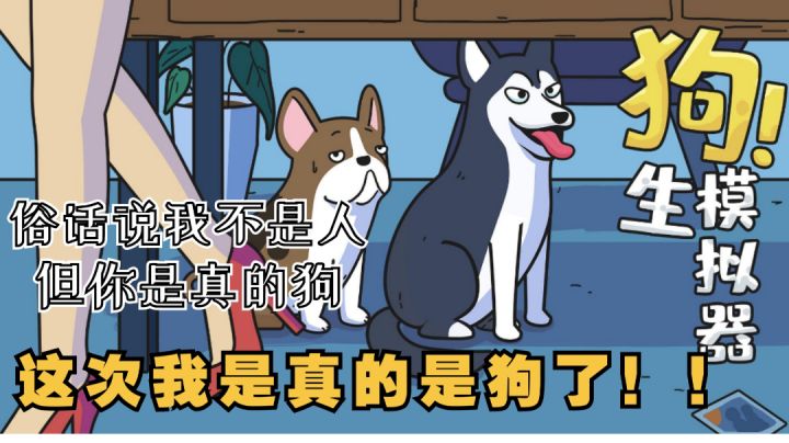 这次,我真的是狗了!《狗生模拟器》的简单介绍#新游观察局#截图