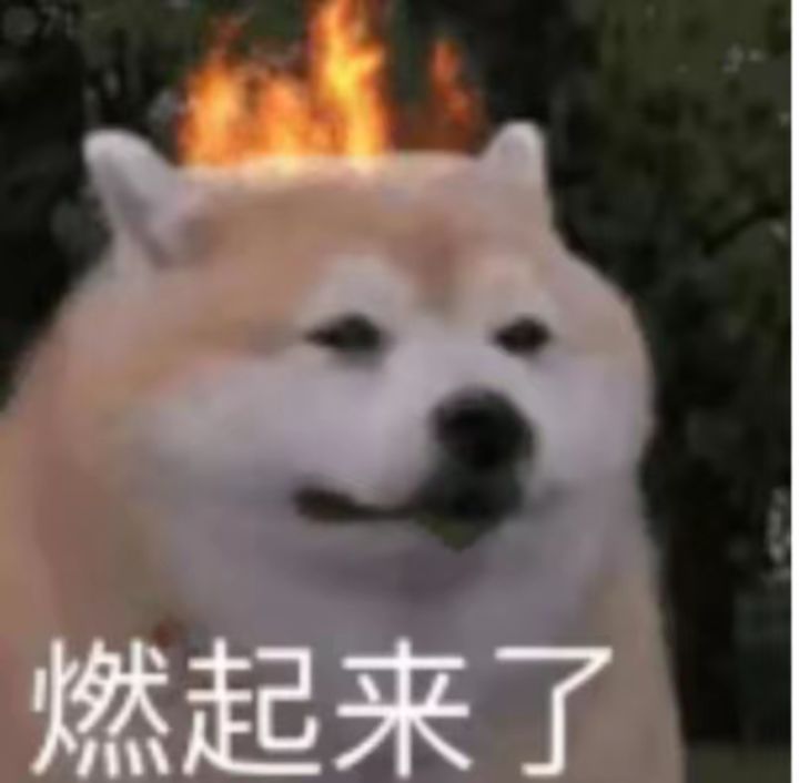 老炉子了截图