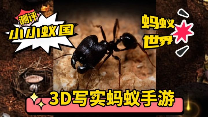 游戏测评:蚂蚁是如何生存的?3D写实手游《小小蚁国》带你走进蚂蚁的世界截图