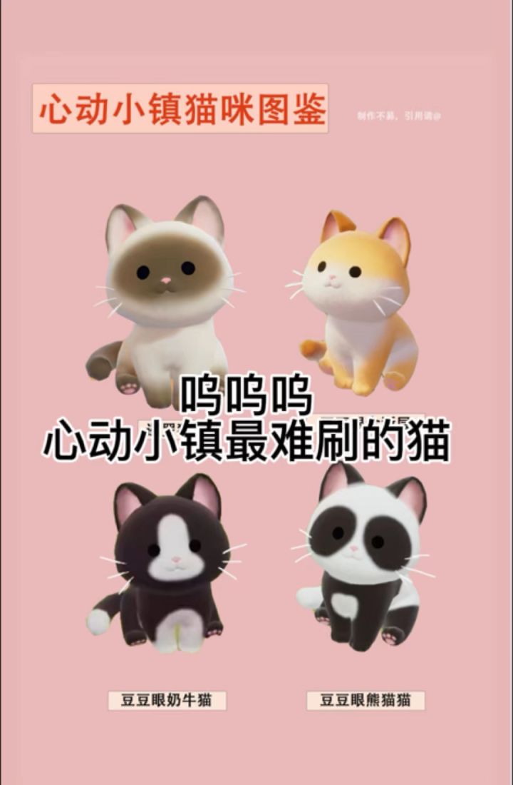 在无能为力的时候遇到了心动的小猫猫截图