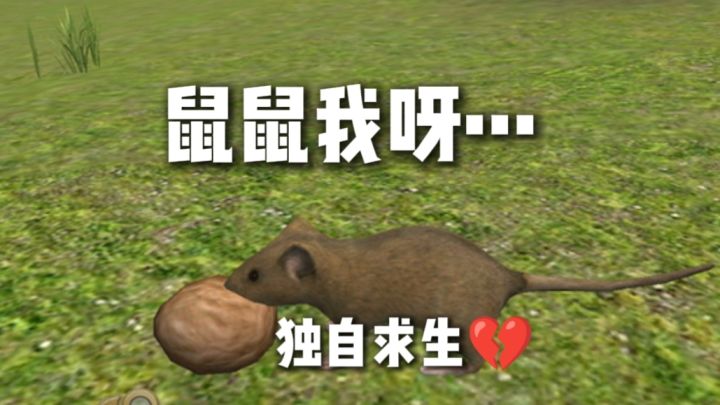 鼠鼠我独自求生……截图