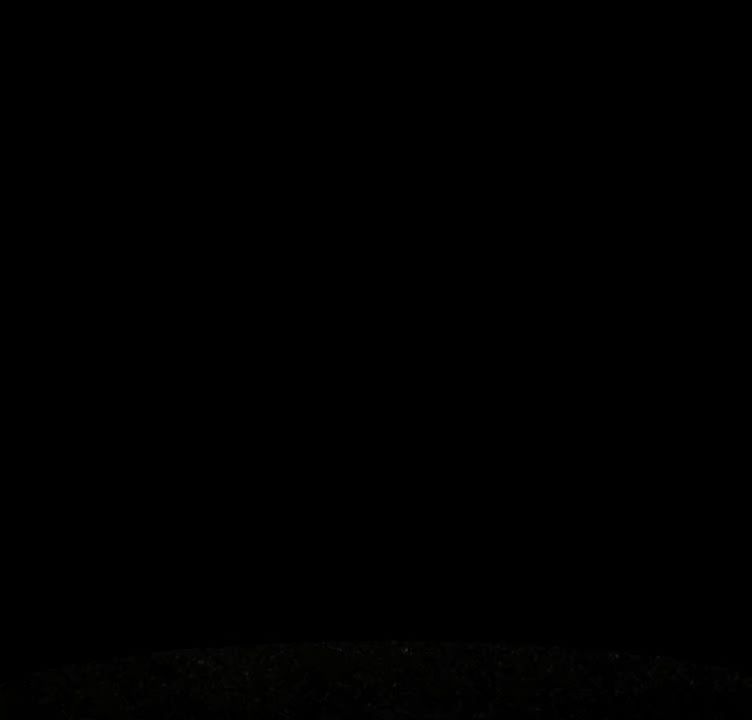 video-5689392