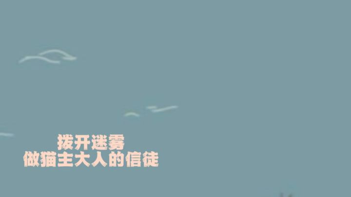 猫神在上 吾等全力以赴截图