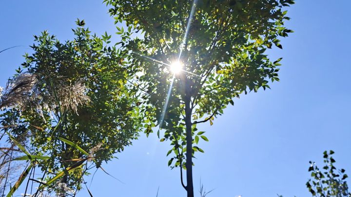 暂别啦! 苏打我们6月再见❗❗❗截图