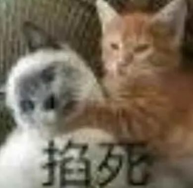 video-4796769