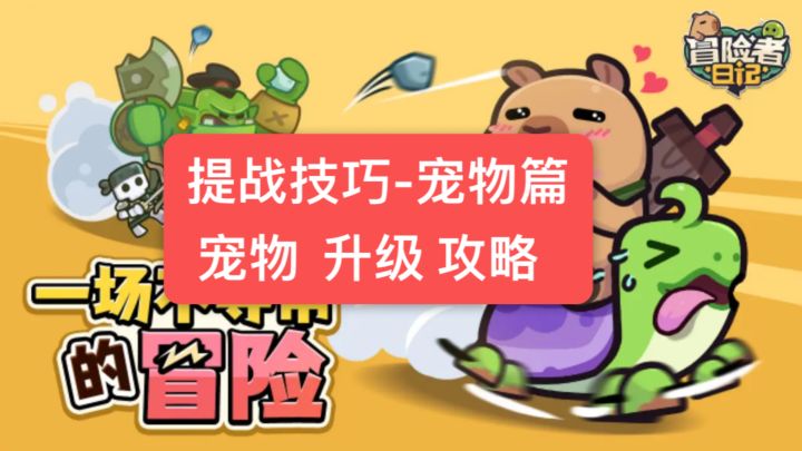 【提战技巧】宠物篇-宠物升级攻略截图