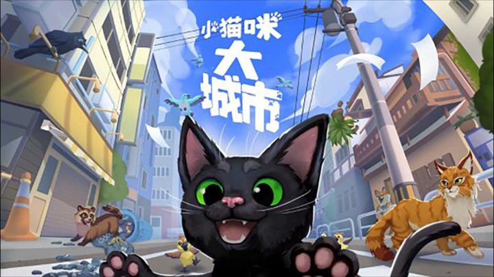 一只猫咪的视角,来看看城市的大世面!截图