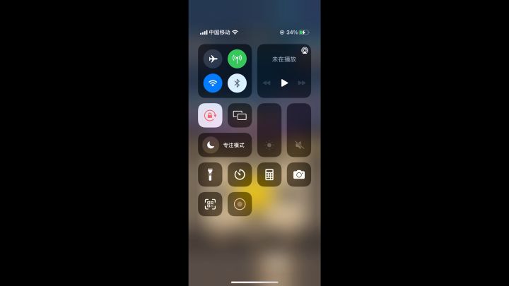 250惩戒骑截图