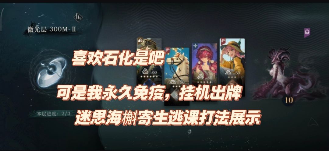 video-4816882