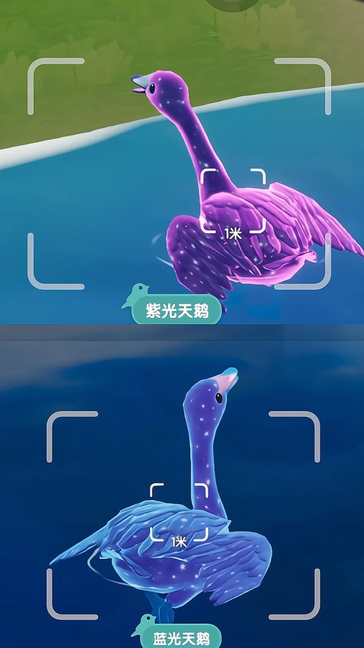 这可是晶莹剔透的鹅啊!!截图
