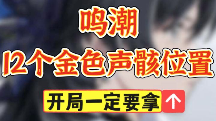 「鸣潮」开局必拿的12个金色声骸位置截图