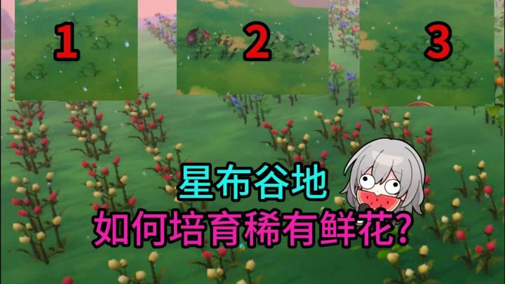星布谷地稀有异色鲜花如何培育最高效?截图