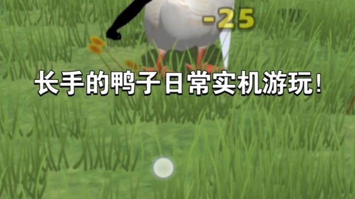 长手的鸭子日常实机游玩~截图