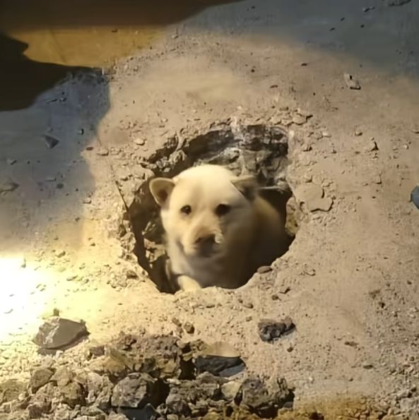 地狱模式必过流派截图