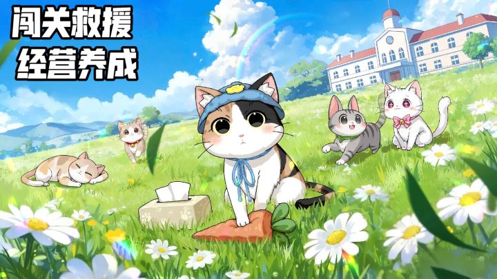 把流浪猫收容所搬进口袋,这款撸猫手游把我萌化了截图