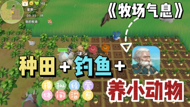 🌸超级治愈牧场的生活，种田🌱+🎣+养动物～截图