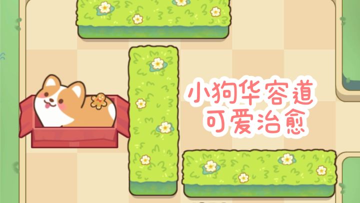 【TapTap年度游戏大赏】解救小狗狗🐶，可爱治愈～截图