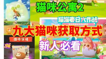 【猫咪公寓2】猫咪获取方式大全⚡新人必看