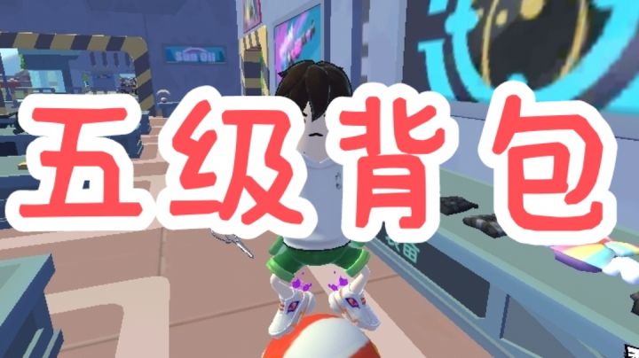 新背包——五级包截图