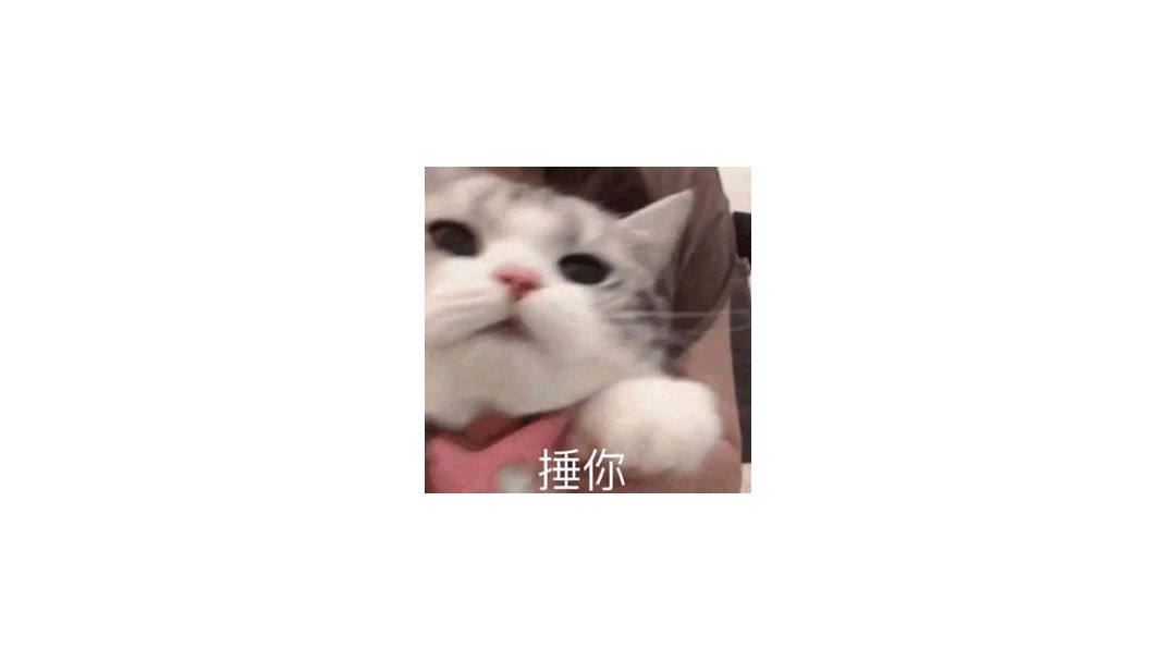 video-3158450