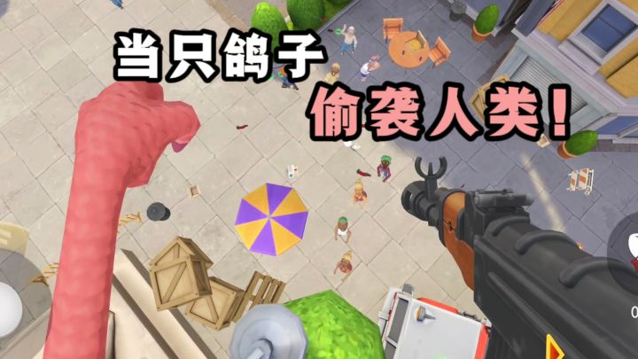 当一只自由飞翔的鸽子,目标是偷袭人类❗截图