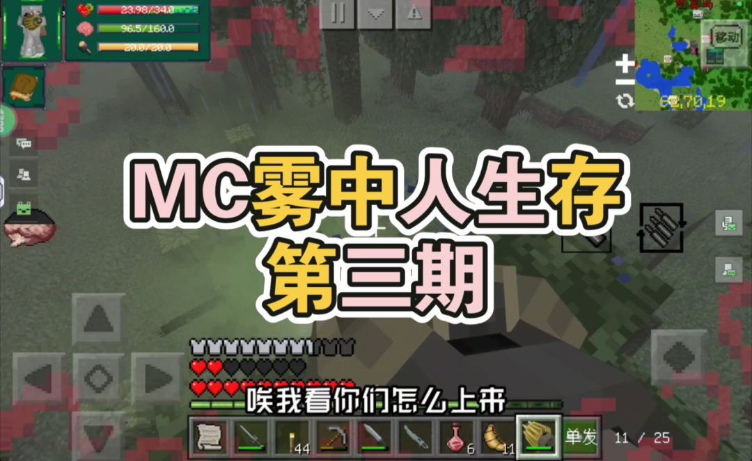 video-4027533