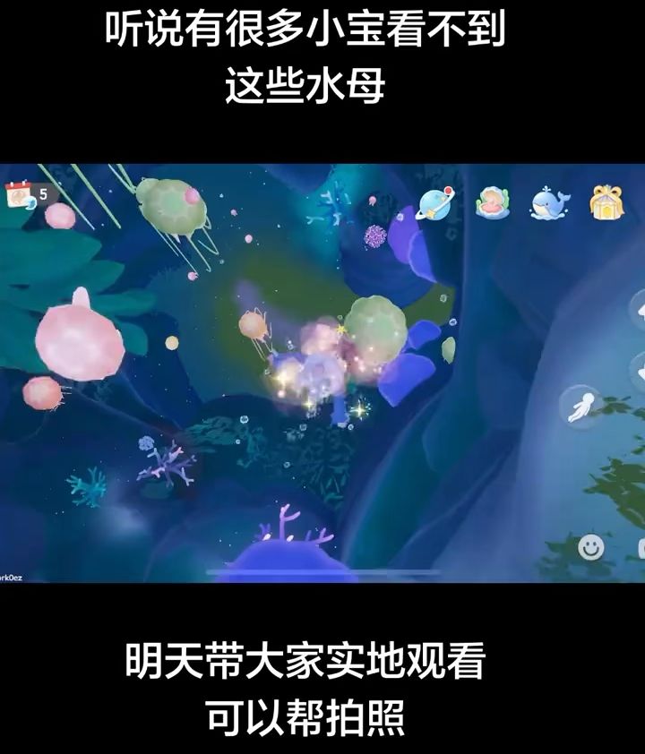 到底是什么原理我清洁等级4级 也没怎么清理海洋 你们都能看到嘛截图