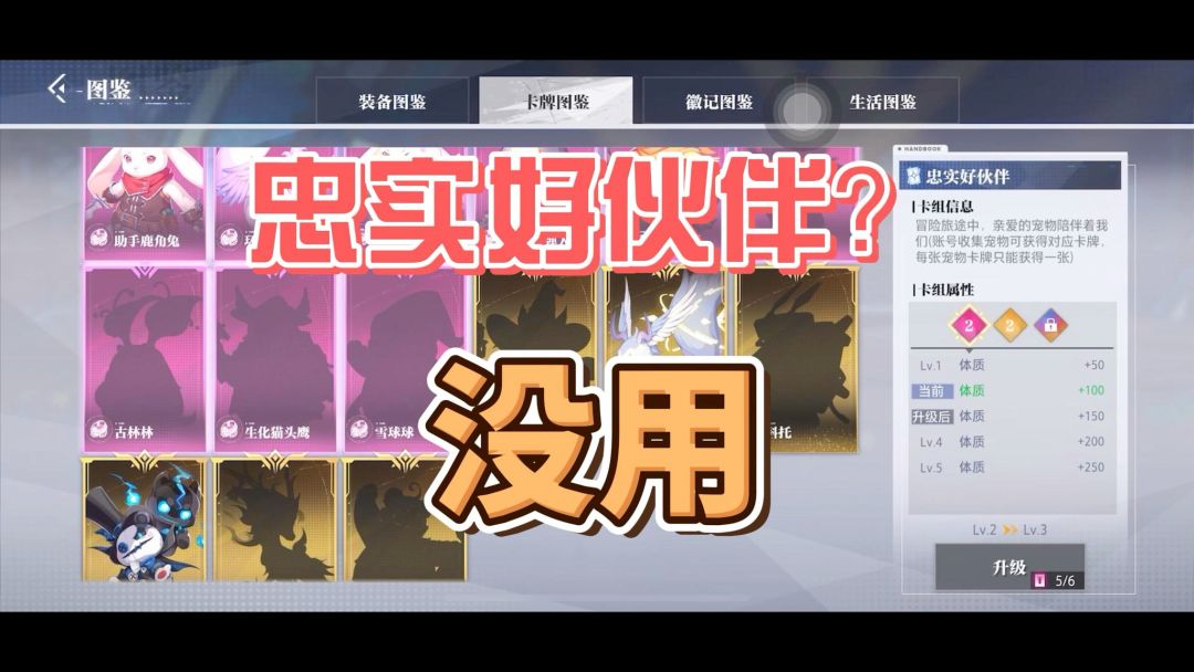 video-4235540