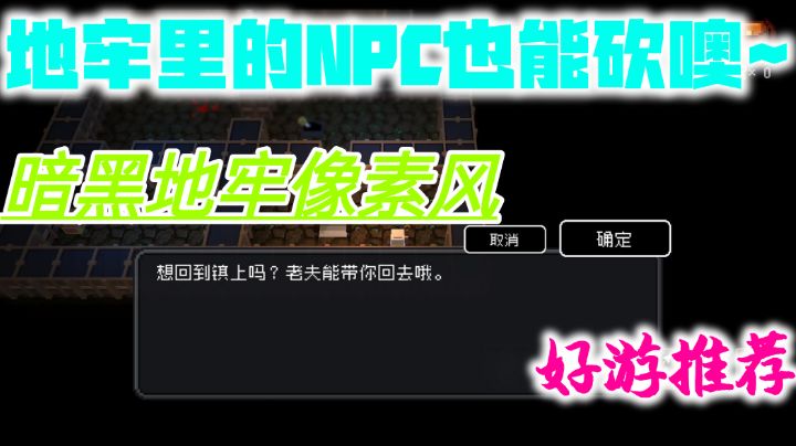 身为勇者?爱好却是背刺NPC!#新游观察局#截图