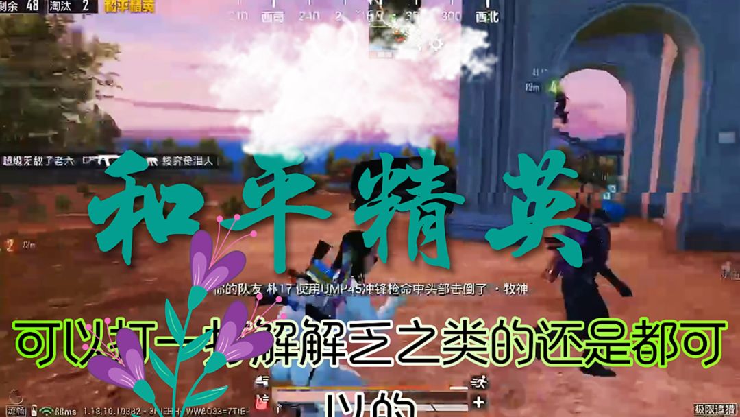 video-3815771