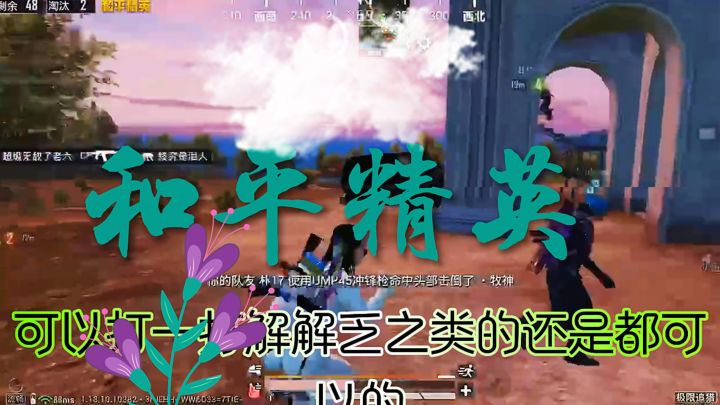 和平精英手游截图