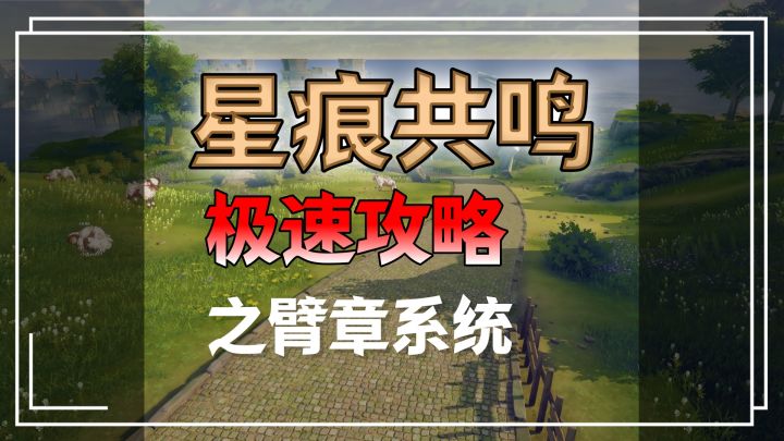 星痕共鸣2分钟简单攻略——臂章系统攻略截图
