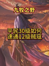 平民30级如何速通贼寇