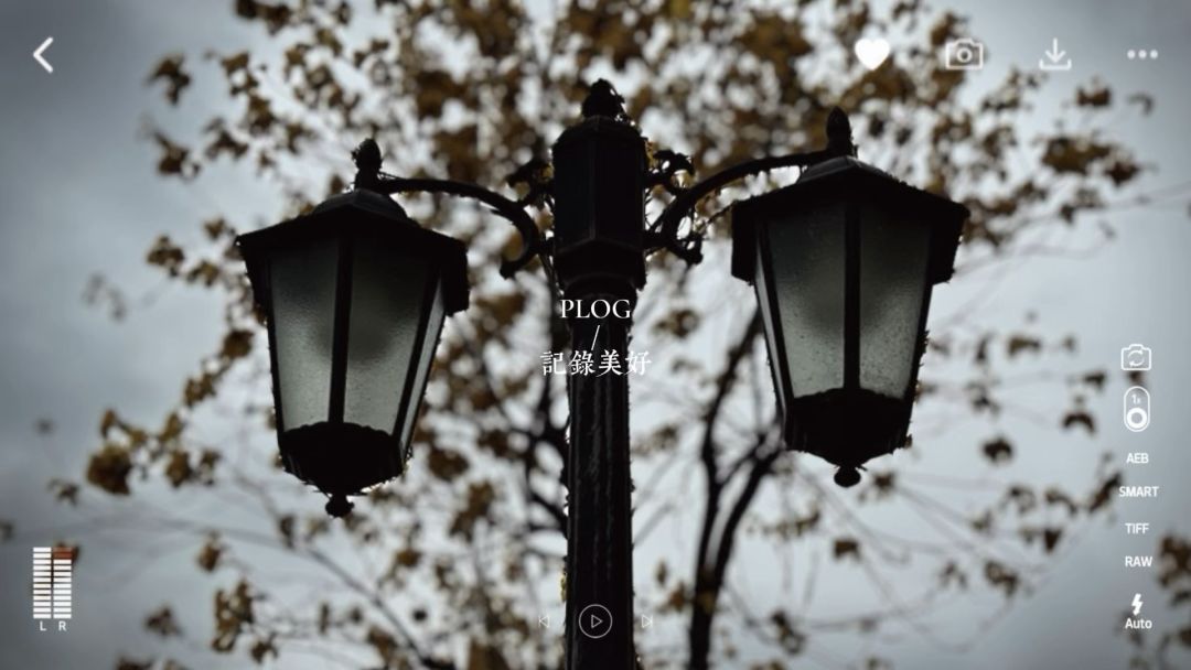 video-4805181