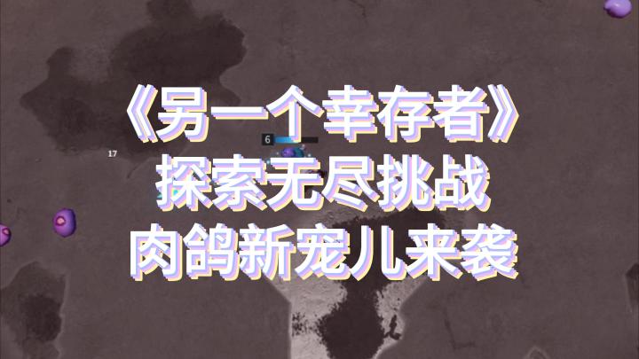 《另一个幸存者》:谁能成为最强的幸存者?截图