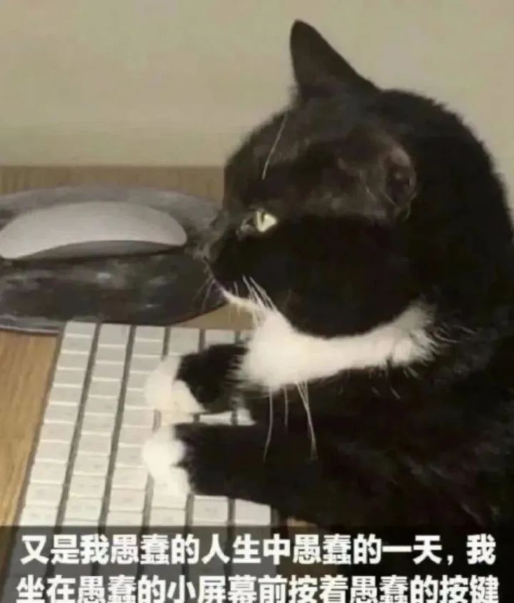 1截图