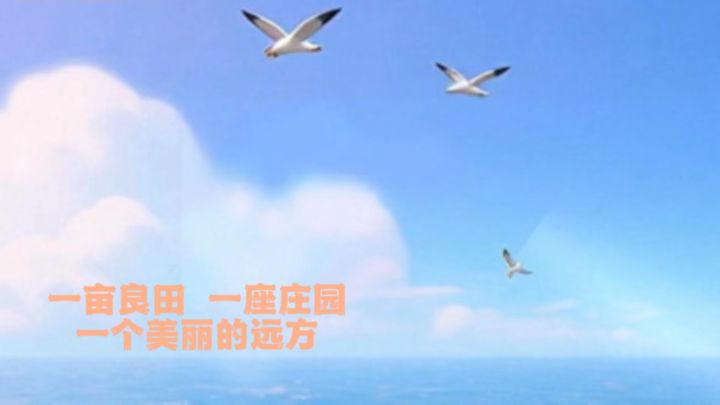 一亩良田 一座庄园 一个远方截图