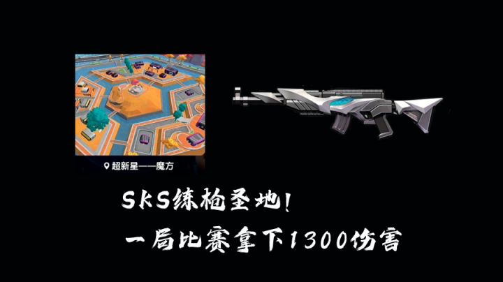SKS练枪圣地，一局拿下1300点伤害，简直无情~#童心闪耀#截图