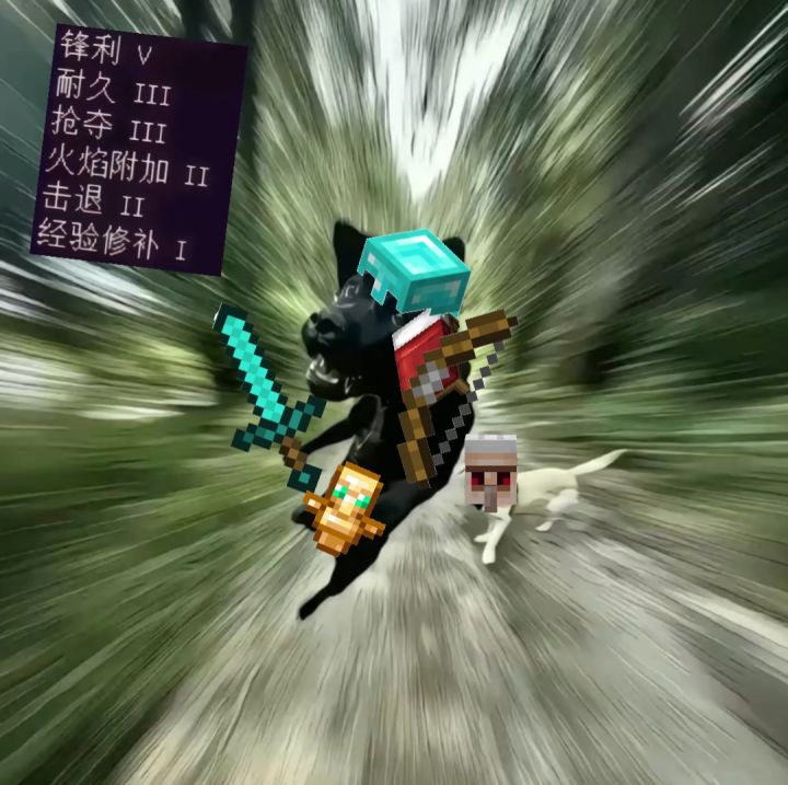 我的世界:村庄之星截图