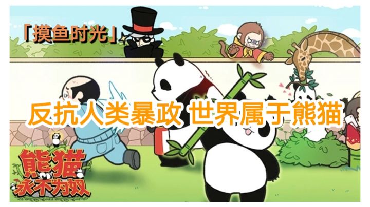 【摸鱼时光】反抗人类暴政，世界属于熊猫#摸鱼的休闲时光#截图