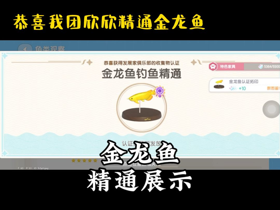 video-5181584