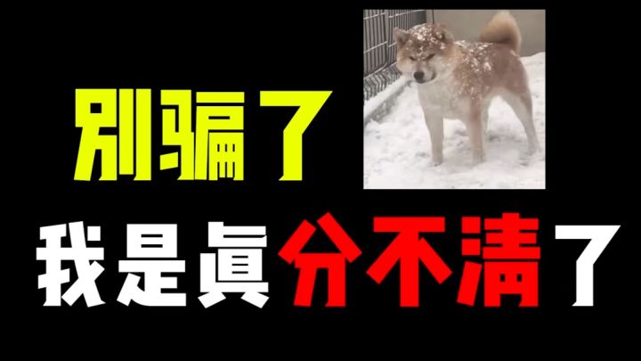参与人数众多的骗局?!"道诡是真出游戏了"!截图