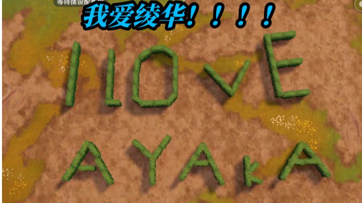 致---今天早上在尘歌壶发病的我截图