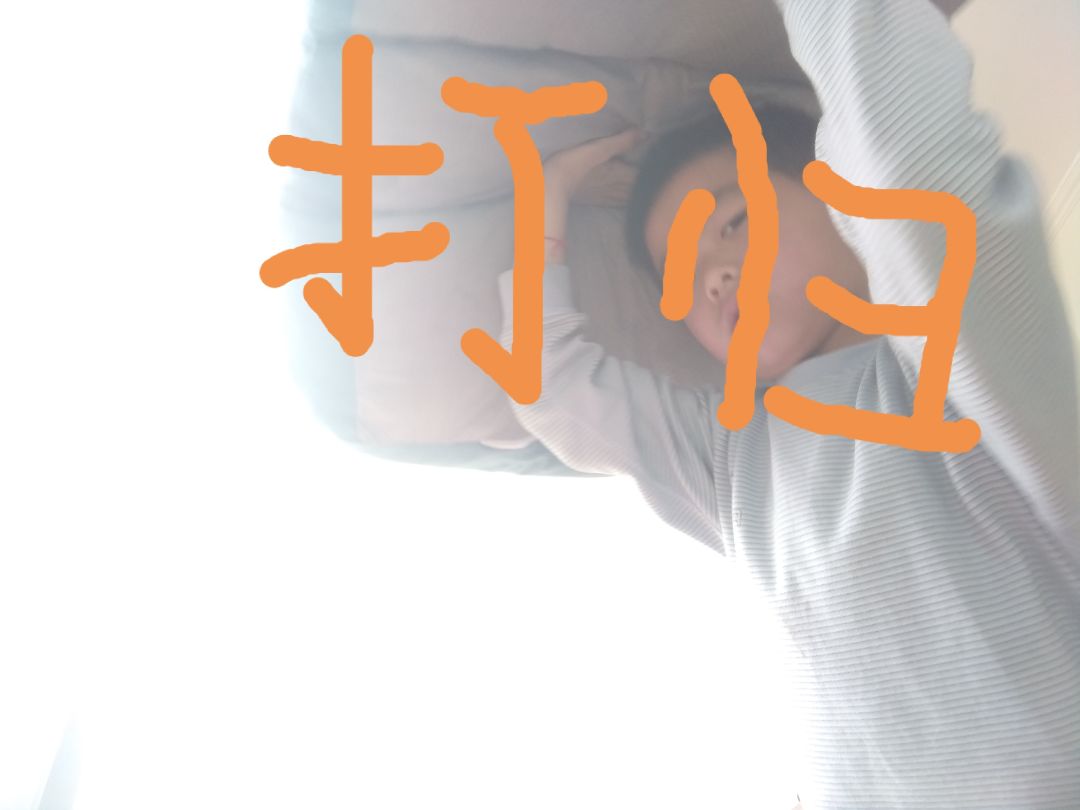 video-4829459