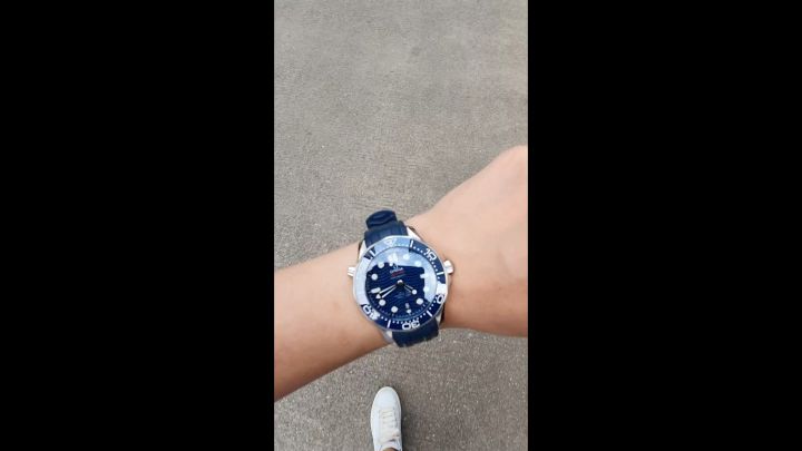 欧米茄海马300系列截图