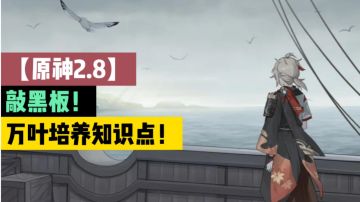 【原神2.8】敲黑板！万叶培养知识点！