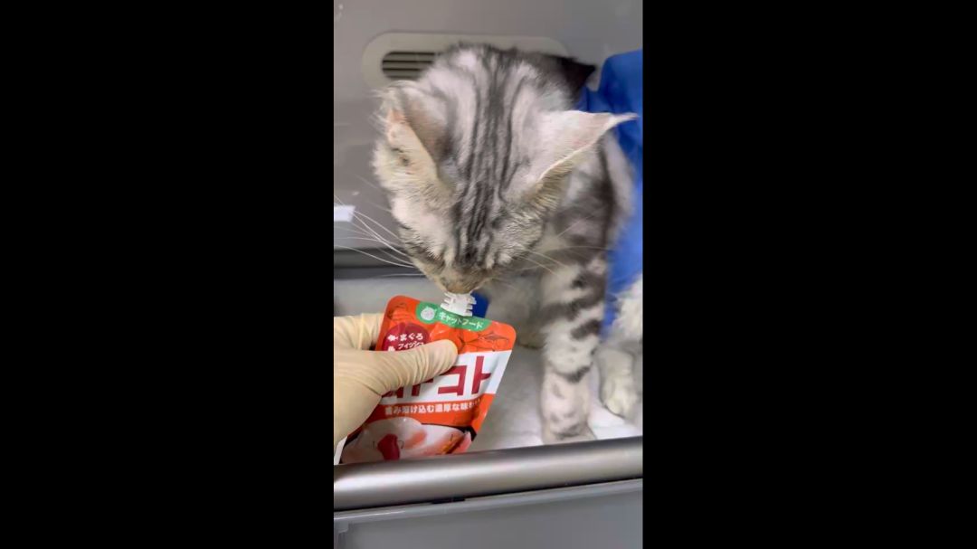 video-3625503