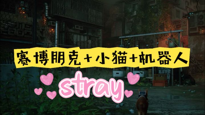 小猫冒险,超绝体验感!!!截图