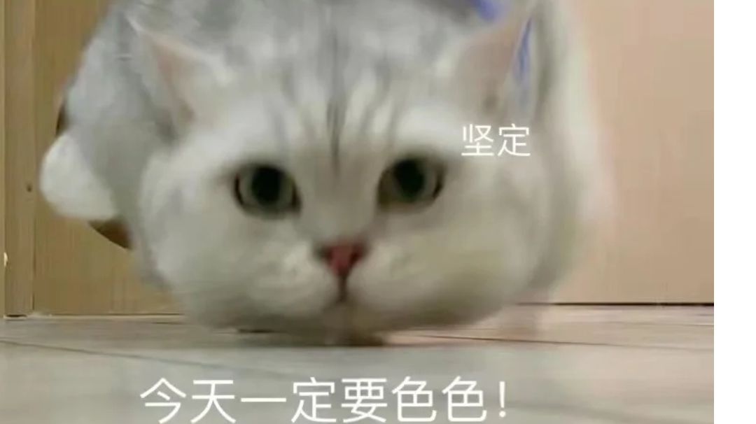 video-2247897