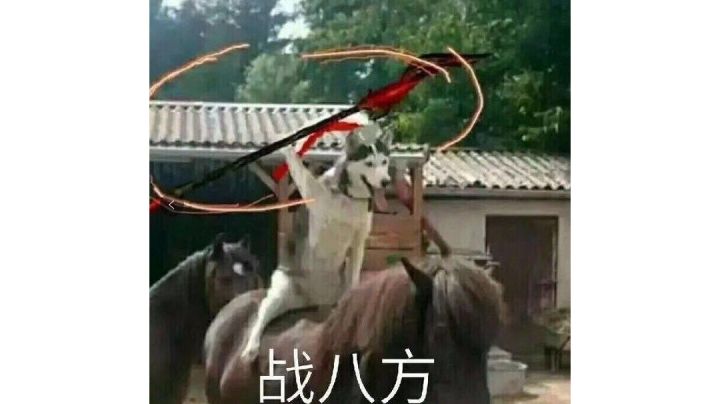 臭屁龙!我要杀你一!千!遍!也!不!够!!!截图